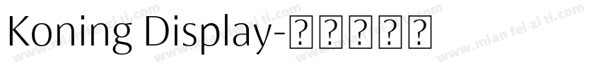 Koning Display字体转换